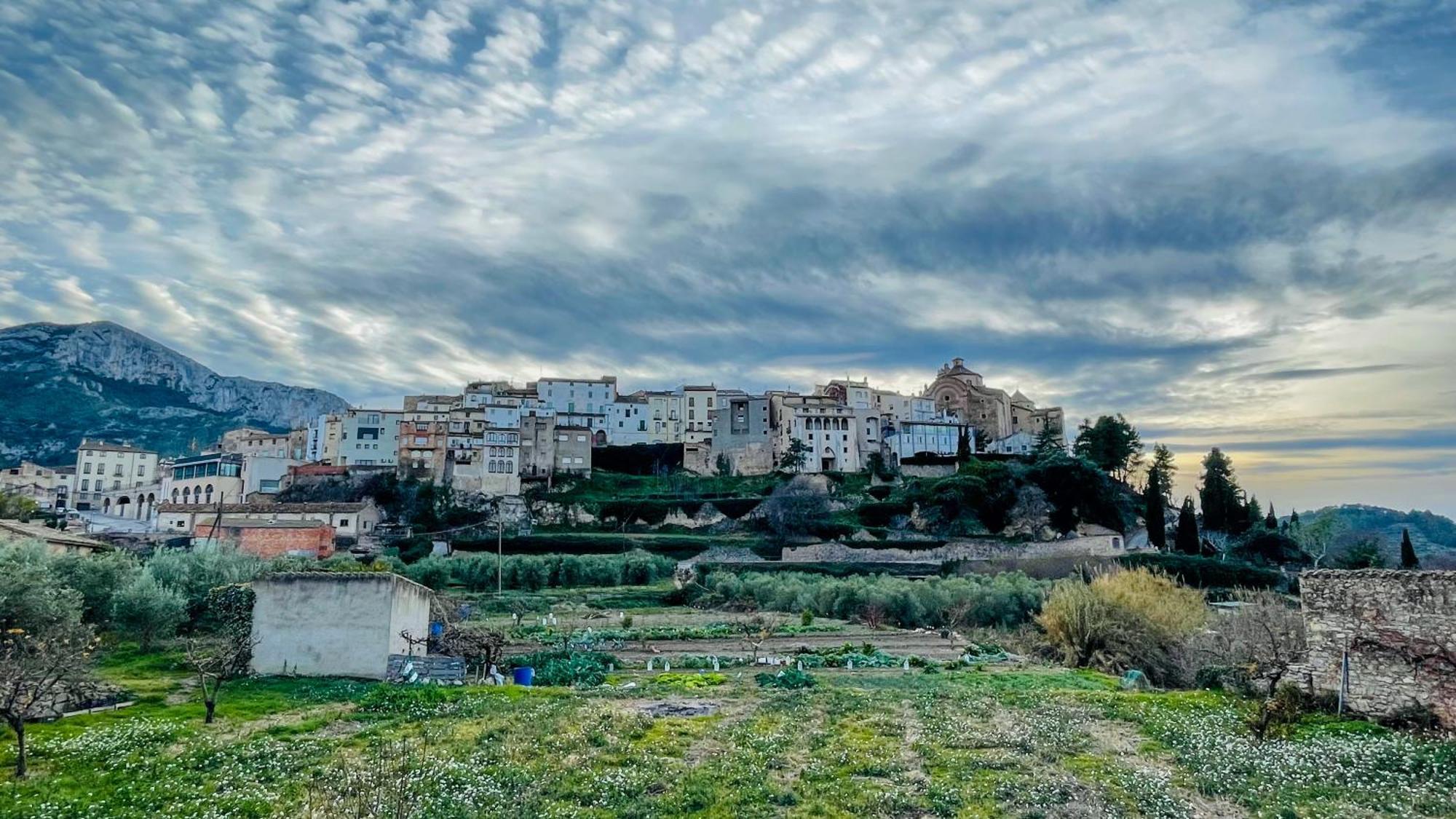 Apartament Rural Monetze Tivissa Exteriör bild
